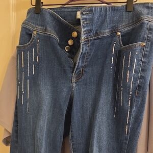 Lane Bryant Denim High-Rise Jeans with Vertical Silver Sequin Accents